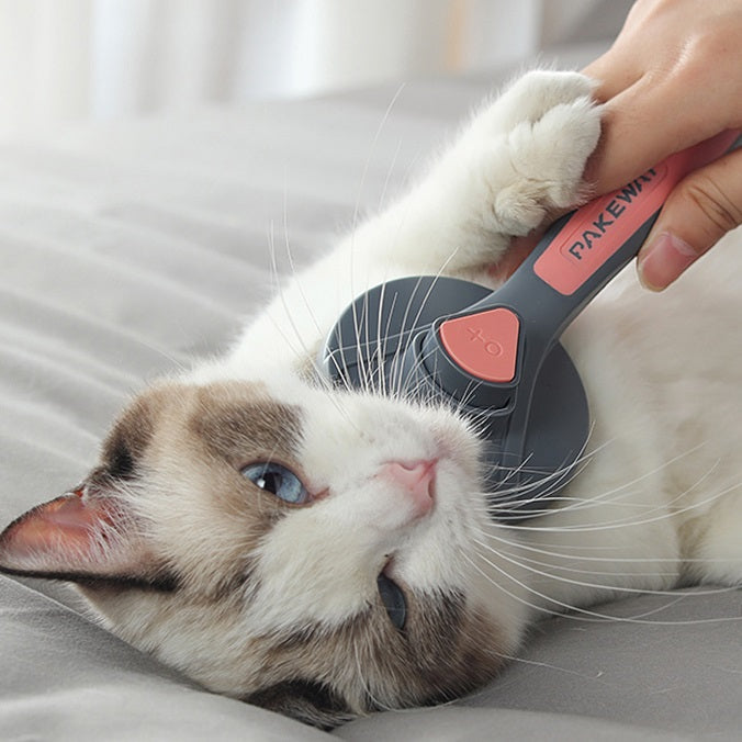 Escova Removedora de Pelos para Cachorro e Gato